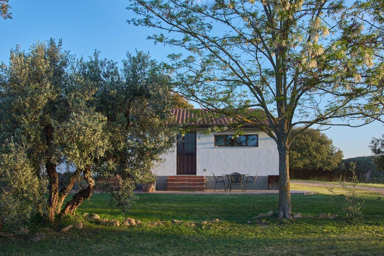 Agriturismo Tesorino Massa Marittima Exteriér fotografie