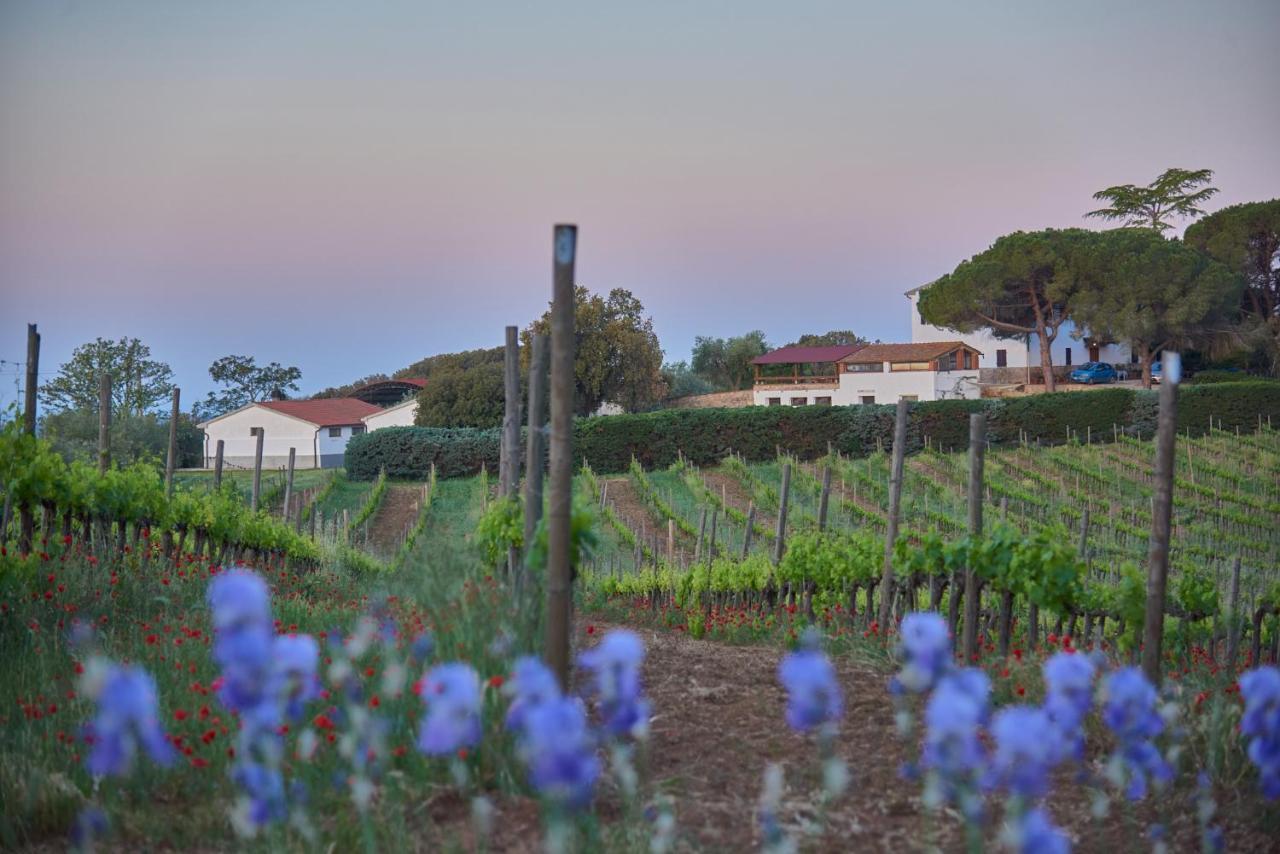 Agriturismo Tesorino Massa Marittima Exteriér fotografie