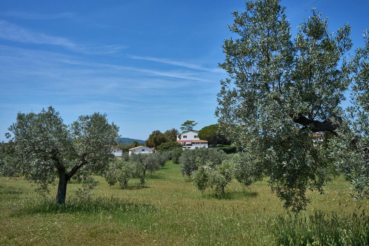 Agriturismo Tesorino Massa Marittima Exteriér fotografie