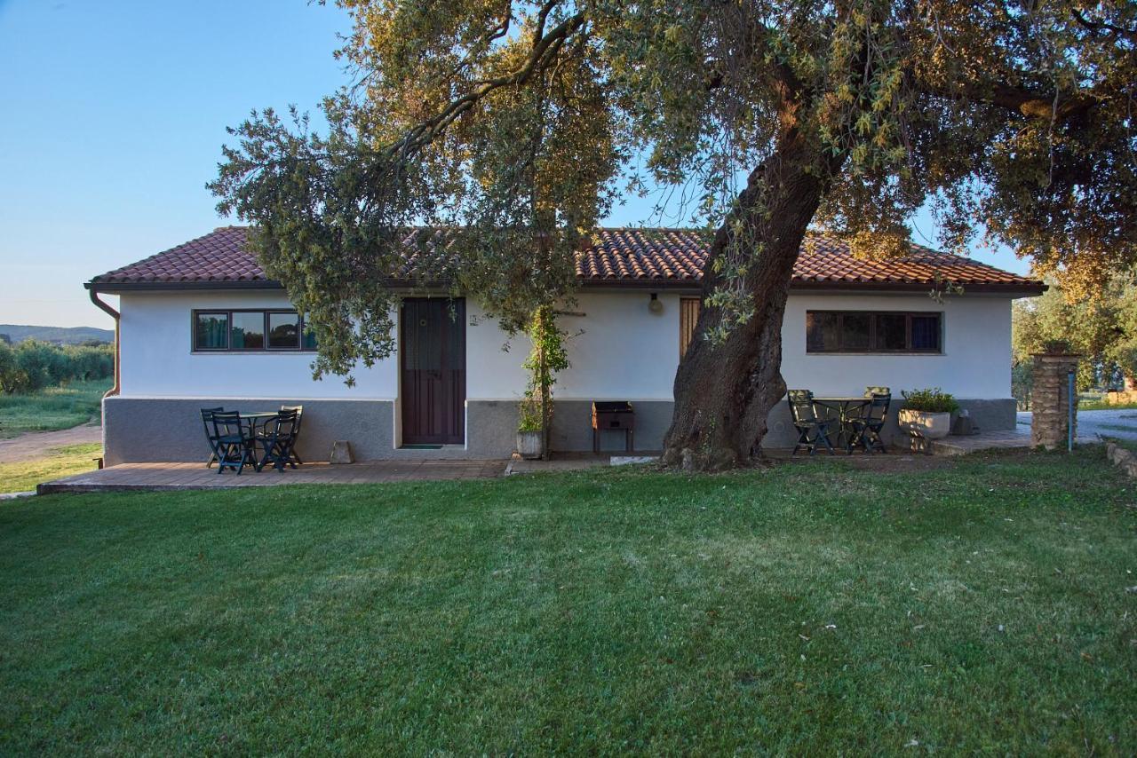 Agriturismo Tesorino Massa Marittima Exteriér fotografie