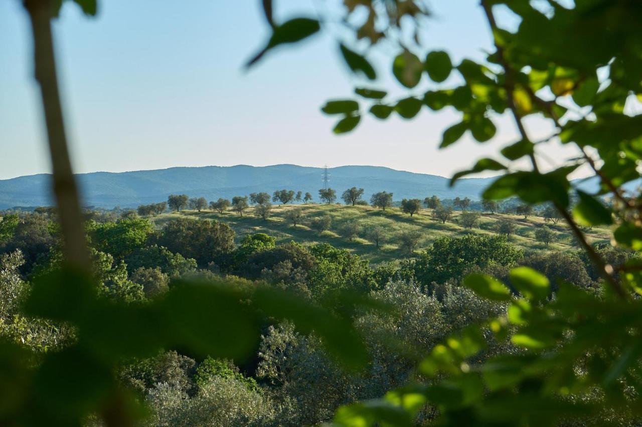 Agriturismo Tesorino Massa Marittima Exteriér fotografie